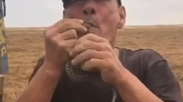 un fermier din rusia a murit dupa ce a incercat sa inghita o vipera