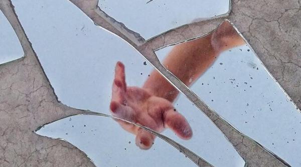 baba vanga sfaturi pentru cei care vor mai multi bani trucul oglinzii sparte de ce sa pui sare pe pervaz