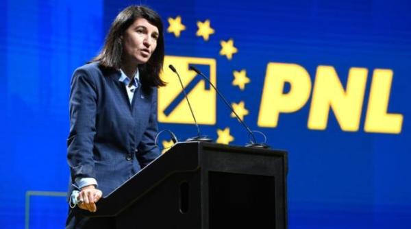 chirieac  pronostic despre citu dupa alegerile din pnl  congresul de ieri a fost doar o etapa