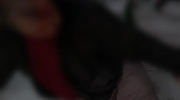 scandal in bihor sotul unei primarite acuzat ca a batut un fost procuror