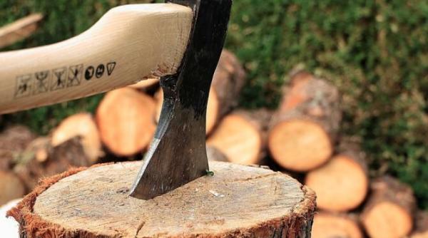 senatul a adoptat propunerea care prevede 5prc  tva pentru lemnele de foc din 1 noiembrie 2021