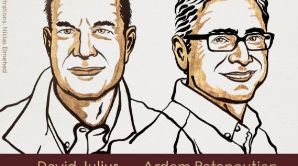 premiul nobel pentru medicina 2021 david julius si ardem patapoutian pentru descoperirea receptorilor temperaturii si atingerii