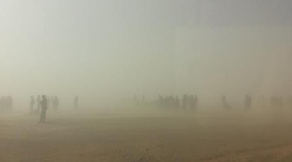 frutunile de nisip din brazilia au pus case la pamant