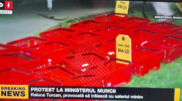protest la ministerul muncii provocare pentru raluca turcan sa traiesti cu salariul minim