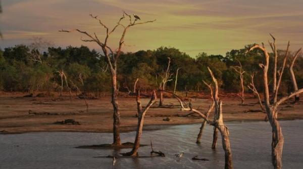 lumea s ar putea confrunta cu o criza a apei avertismentul climatologului roxana pojariu