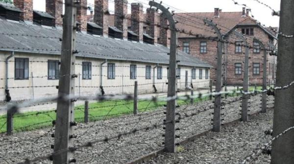 mae omagiu memoriei victimelor holocaustului din romania
