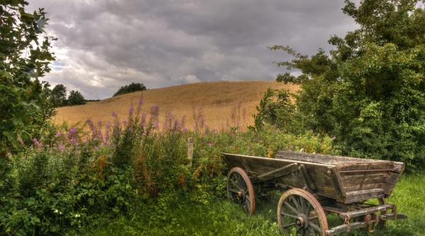 o fetita de 10 ani a murit dupa ce a cazut din caruta in judetul galati