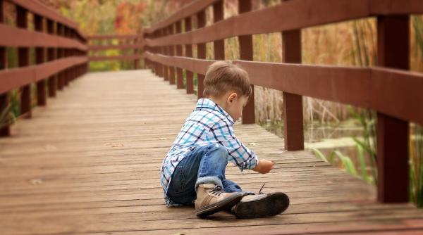 un copil de trei ani a reusit sa supravietuiasca singur intr o padure timp de cateva zile dupa ce s a ratacit