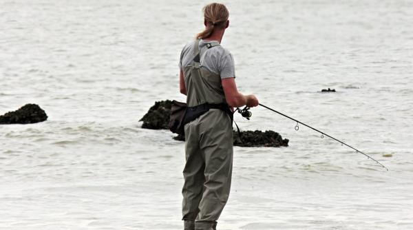 numarul real al pescarilor din delta dunarii catalin tibuleac toamna asistam la un pescuit comercial video