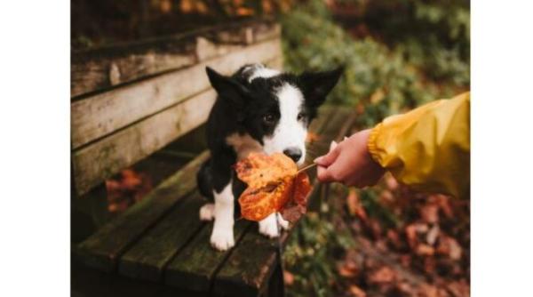 veste buna de la meteorologi alina serban de saptamana viitoare temperaturi in crestere