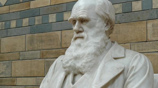 microscop din vremea lui charles darwin scos la licitatie la 2 secole de la fabricatie