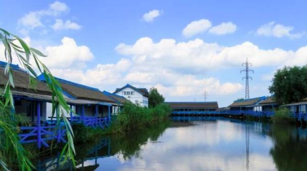 problema pentru turisti  cand merg in delta dunarii  tibuleac  e culmea  vorbim de o suprafata de 580 000 de hectare