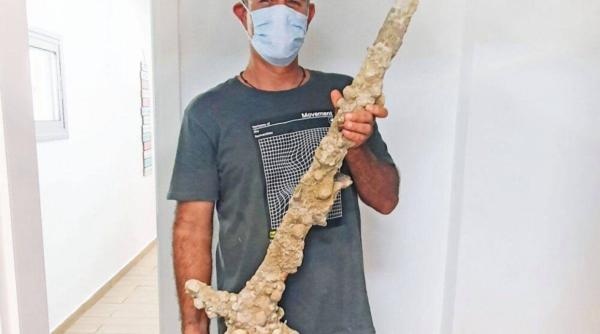 sabia unui cruciat veche de 900 de ani gasita de scafandri de pe coasta israelului