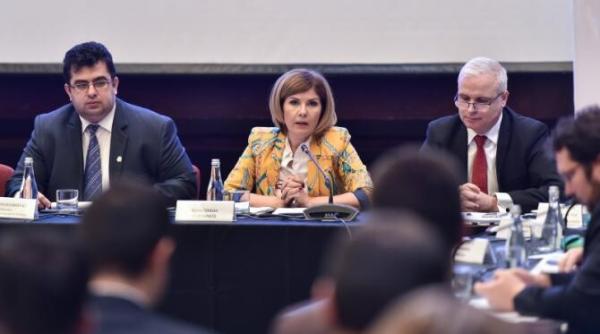 elena cristian plafonarea la energie dupa ureche chestiuni care vor afecta pe toata lumea