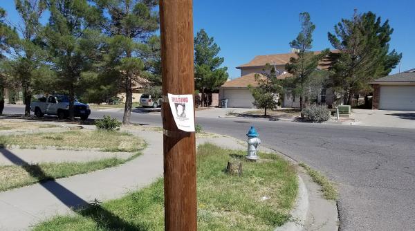 sistem cautare persoane disparute nicoleta pauliuc pnl noutati prevazute in proiect