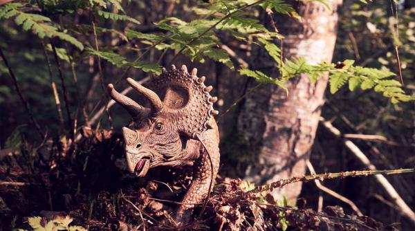 un schelet de triceratops s a vandut la un pret de milioane de dolari