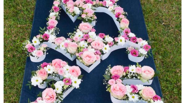 carte regala lansata la elefantfest 2021