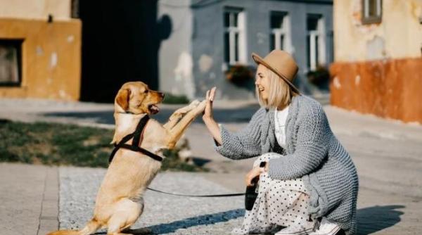 vesti foarte bune pentru o zodie in saptamana 25 31 octombrie fericire solutii incredere