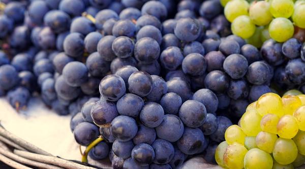 cum pastrezi strugurii peste iarna te vei bucura de gustul lor delicios mult timp