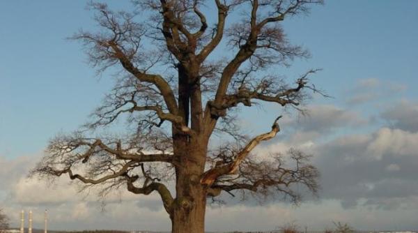 prognoza meteo  vremea pe regiuni  de la vreme frumoasa la ploi si temperaturi scazute