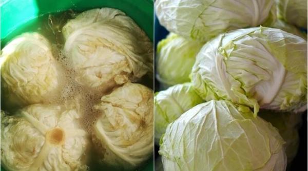 varza se pune la murat de sfantul dumitru ingredientul secret care pastreaza frunzele tari