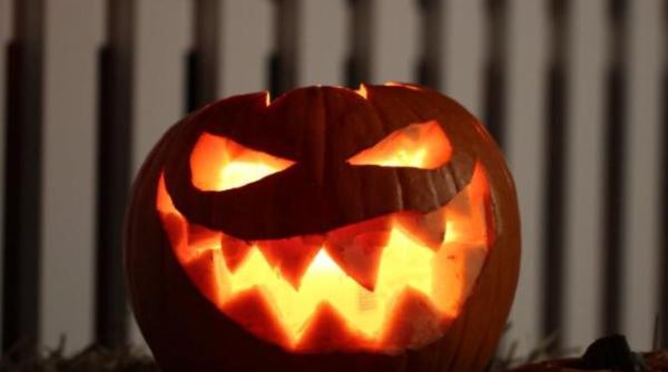 video cu reactia unui catel cand vede decoratiunile de halloween ale vecinilor