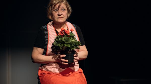 bravul soldat vejk si sunt o baba comunista in acest week end pe scena tnrs