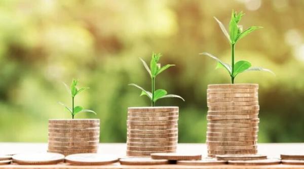 marilen pirtea despre criza sunt multe provocari intrebari esentiale