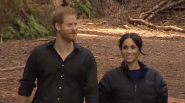 meghan markle tintita de campaniile de ura pe twitter oameni care stiu ce fac care sunt platiti pentru asta