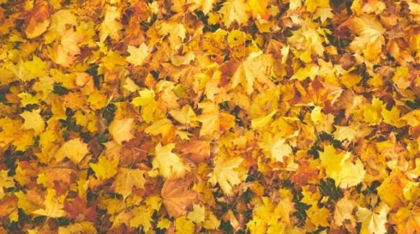 prognoza meteo 29 30 octombrie 2021 ce urmeaza in tara