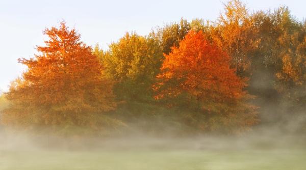anm alerte meteo informatii de ultima ora despre vreme