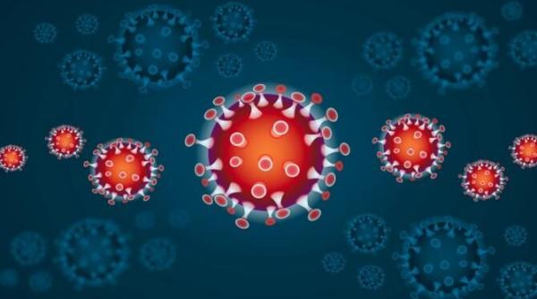 china respinge ancheta americana asupra originii covid