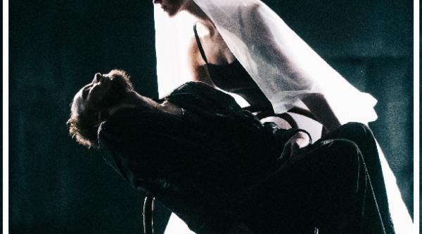 idiotul spectacol cadou pe scena digitala a teatrului national din sibiu