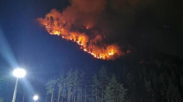 incendiu de padure in judetul bacau fortele aeriene romane intervin cu o aeronava