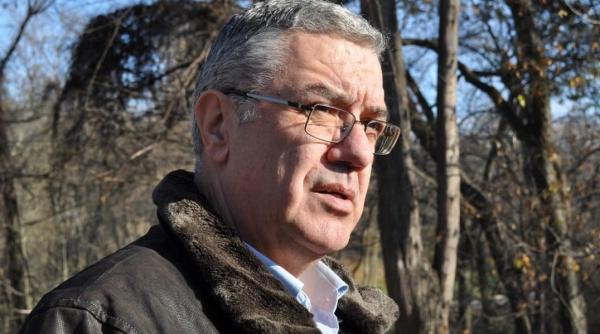 nicolae giugea nu mai fac parte din grupul parlamentar al pnl comparatie cu balene esuate