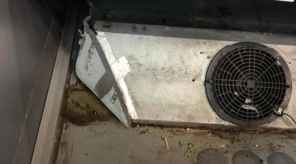 mega image nereguli grave descoperite de inspectorii anpc gandaci rozatoare si mancare stricata