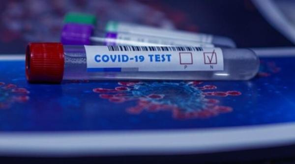 teste covid 19 anale eric mamer anunt despre planul comisiei europene rezista mai mult acolo decat in nas si gat