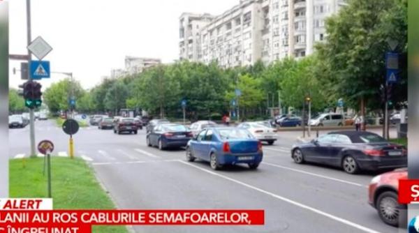 ironie sau prostie dupa scandalul cu sobolanii si capusele din bucuresti muzeul antipa lanseaza un program despre biodiversitatea urbana