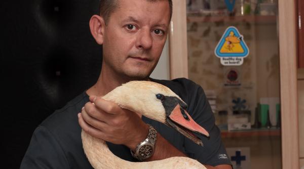 vicepresedintele pnl tulcea ii face prosti si nesimtiti pe locuitorii din delta dunarii