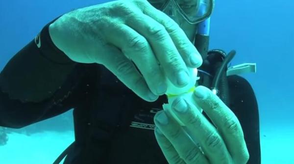 ce se intampla daca spargi un ou sub apa rezultat uimitor video