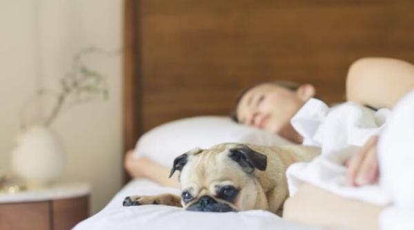 o ora de somn in plus ar putea sa ti taie 1 cm din talie