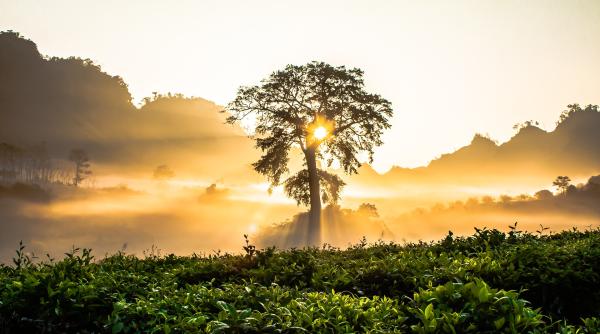 recorduri de temperaturi minime si maxime in romania mateescu anm vreme mai degraba de vara