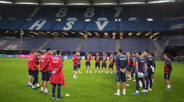 romania islanda arbitrata de rusul karasev