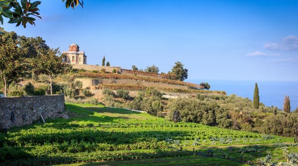 turisti romani veniti pe muntele athos cu certificate de vaccinare false considerati vinovati de moartea calugarilor