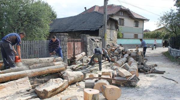 tva redus pentru lemnele de foc