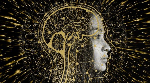 cercetatorii au gasit o diferenta ciudata intre creierul uman si cel al altor mamifere