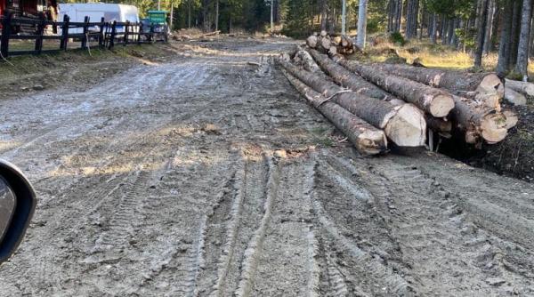 corneliu stefan psd dambovita muncim si investim bani in zadar