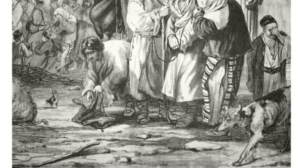 istoria orasului si patrimoniul urban urbanitas