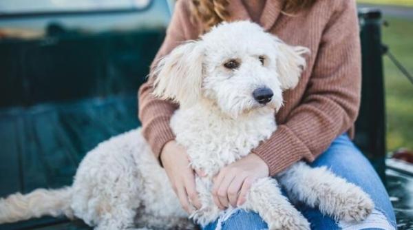 vesti bune si rele pentru berbec taur gemeni balanta scorpion varsator pesti planuri care nu vor iesi expunere
