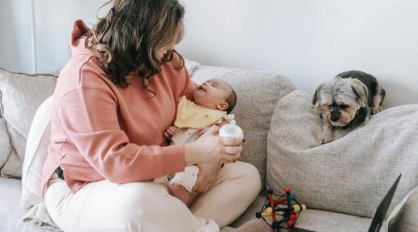 aveti un copil mic cum trebuie sa alegeti canapeaua din sufragerie